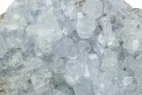Sparkling Celestine (Celestite) Crystal Cluster - Madagascar #376089-1